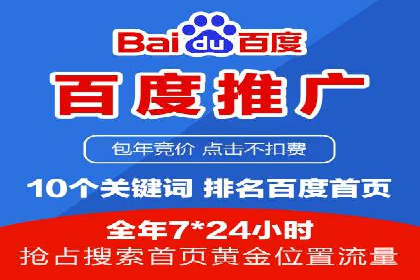百度SEO推广策略全解析：某企业从零到一的成长历程